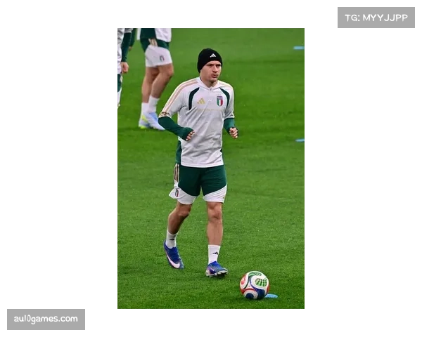 意大利国家队主帅考察本轮多场比赛，为世界杯预选赛遴选球员